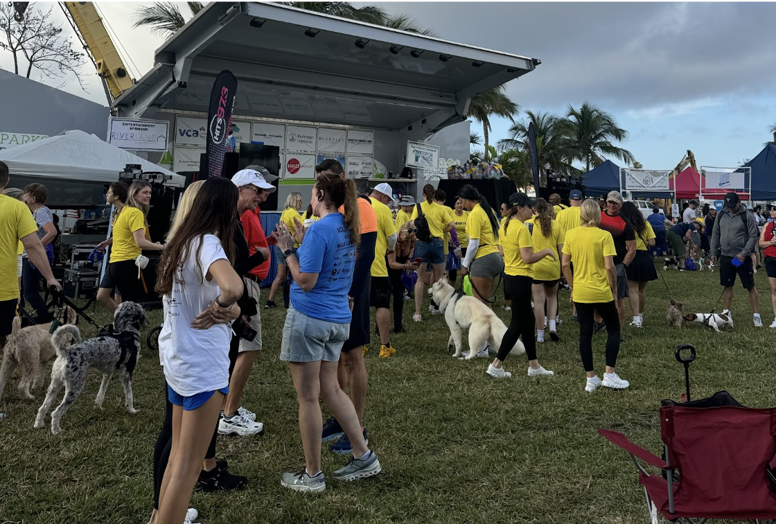 Walking for the animals